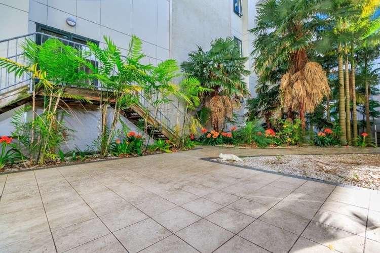 3h/18 Wakefield Street Auckland Central_14