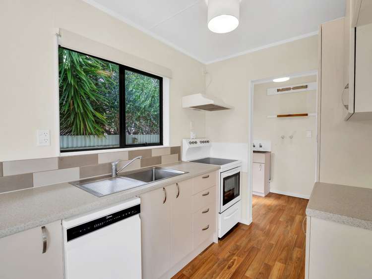15b Douglas Street Levin_4