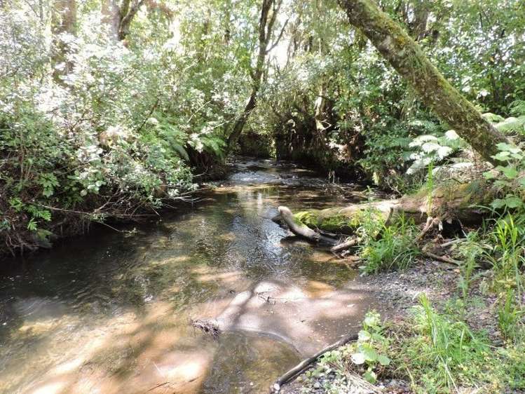 5 Bracken Street Ohakune_15