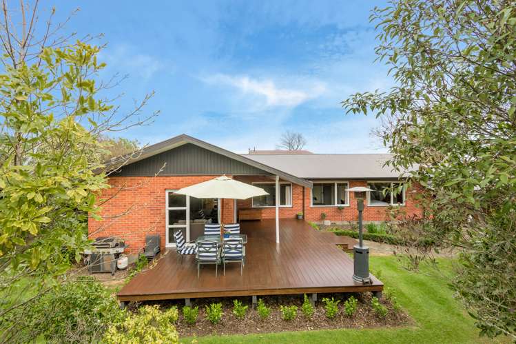 10 Kaka Street Stoke_1