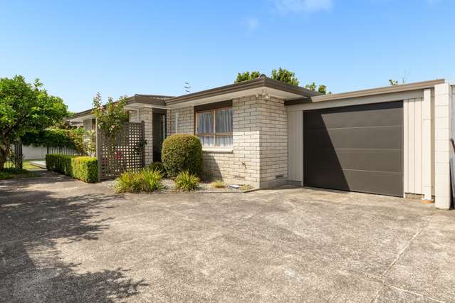 84b Fraser Street Tauranga South_1