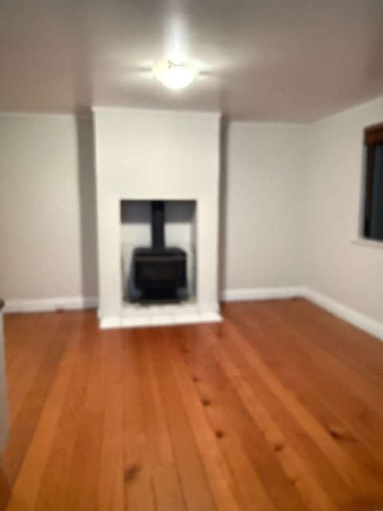 66 Old Mill Road Grey Lynn_10