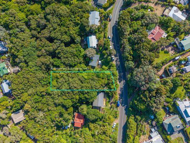 54 Goodwin Avenue Oneroa_1