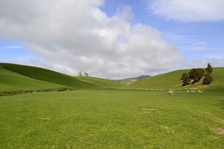 38 Greenall Road Balclutha_11