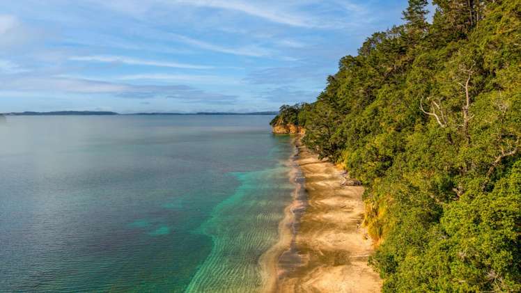 700 Hibiscus Coast Highway_2