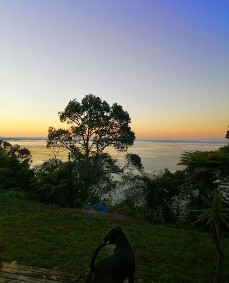 50 Cliff View Drive Green Bay_1