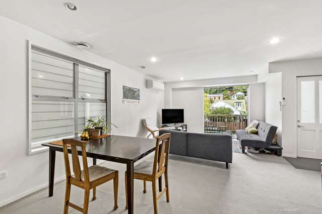 130a Aro Street Aro Valley_2