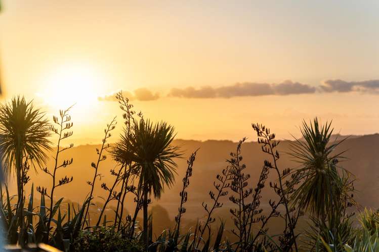 99 Cowes Bay Road Waiheke Island_24