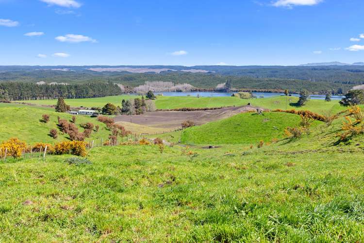 3848 Galatea Road Murupara Surrounds_25