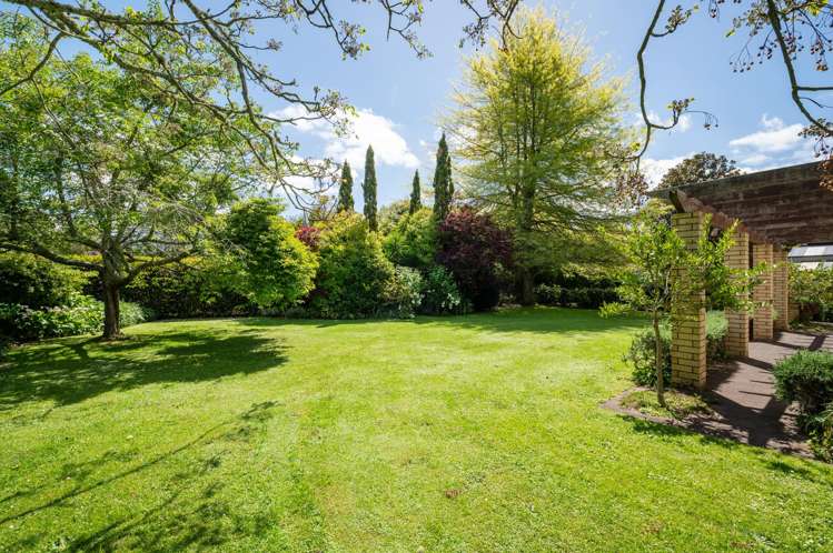 47D Poplar Lane Matangi_29