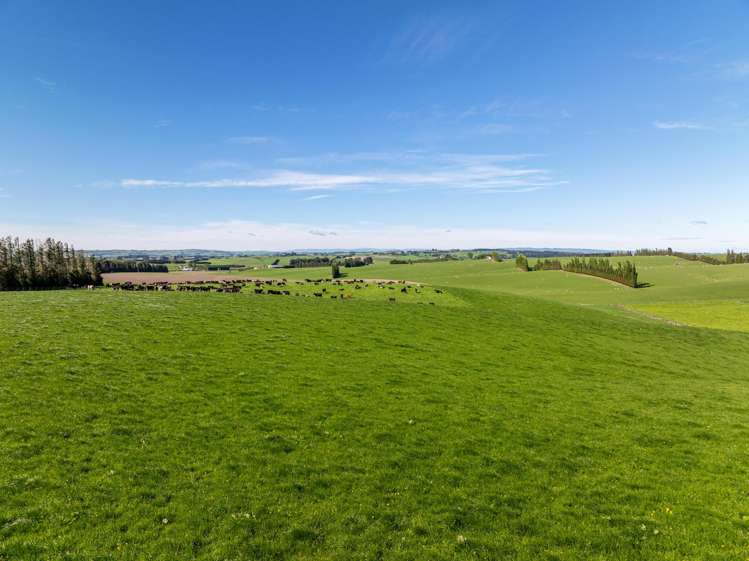 85 - 131 Garden Gully Road Te Kiteroa_20
