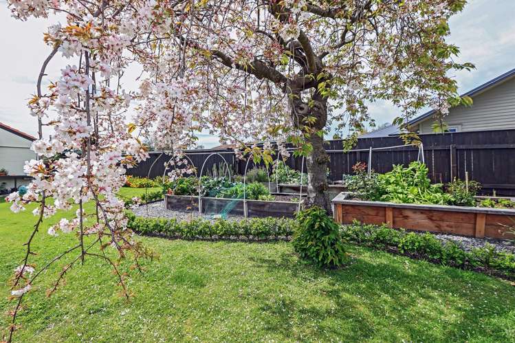 406A Frederick Street West Mahora_17