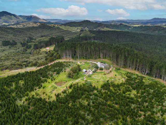 110 Whangape Track Road Broadwood_2