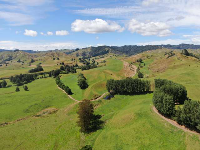 168 Matiere Road Aria_1