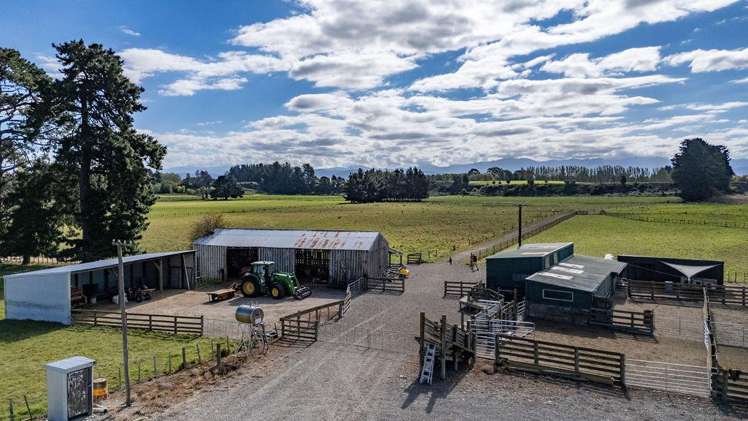 801 Cornwall Road Gladstone_9