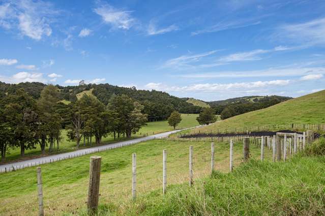 Otonga-Marua Road Opuawhanga_1