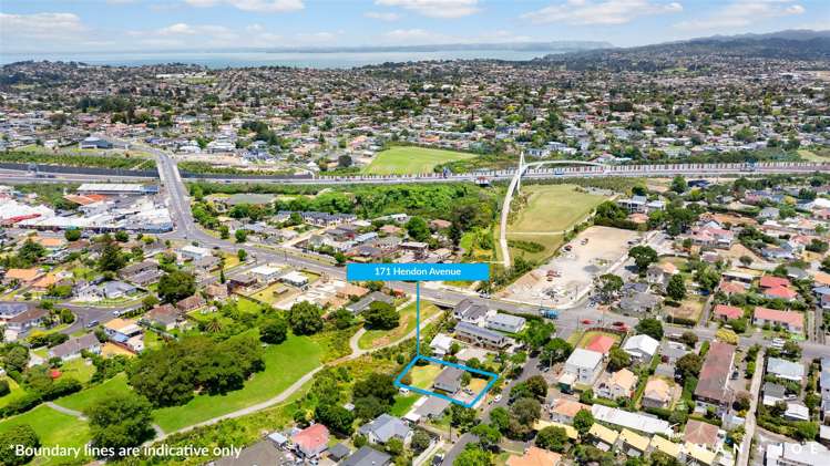 171 Hendon Avenue Mount Albert_11