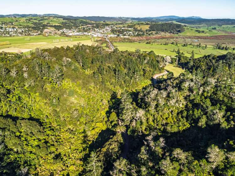 29 Whangae Road Kawakawa_14