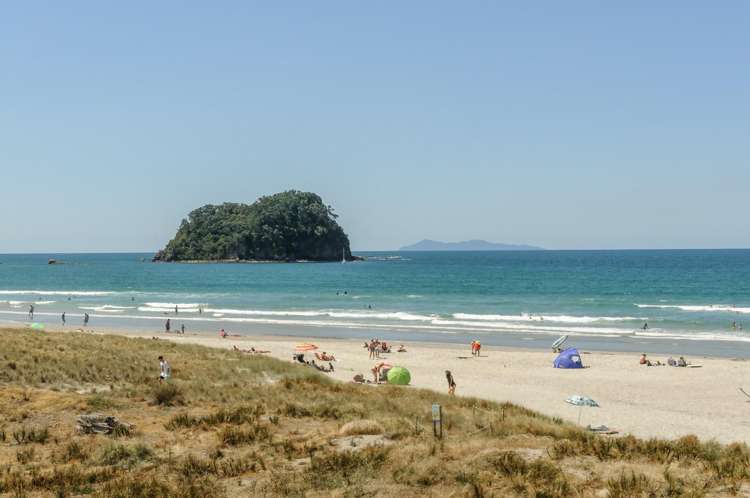 8E Heath Street Mt Maunganui_22