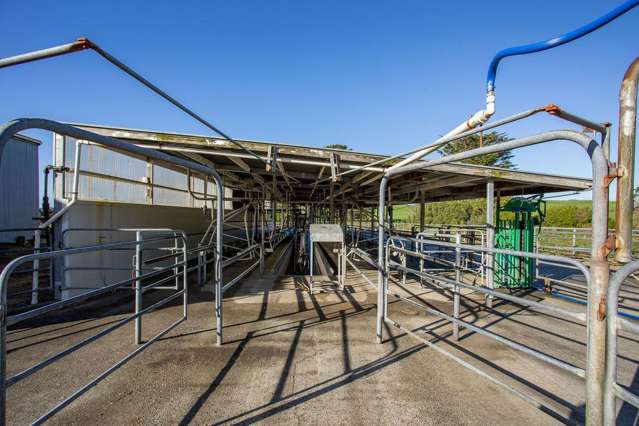 454 Parkville Road Eketahuna_4