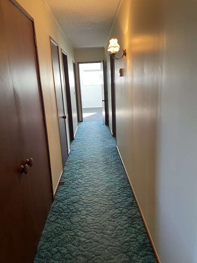 535 Hangawera Road Morrinsville_10