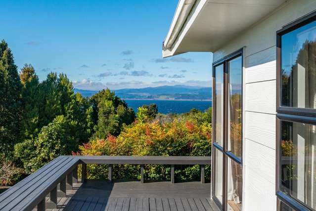 9 Koromiko Place Omori_3