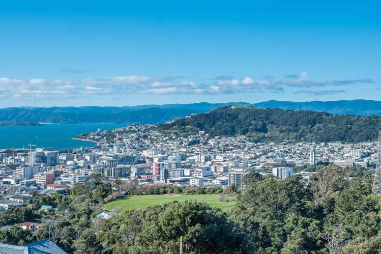 78 Mortimer Terrace Brooklyn_12