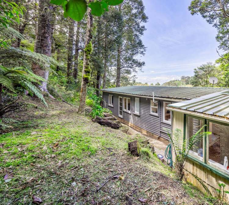 103 Laingholm Drive Laingholm_10