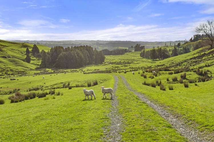 Mangatea Road Te Kuiti_13