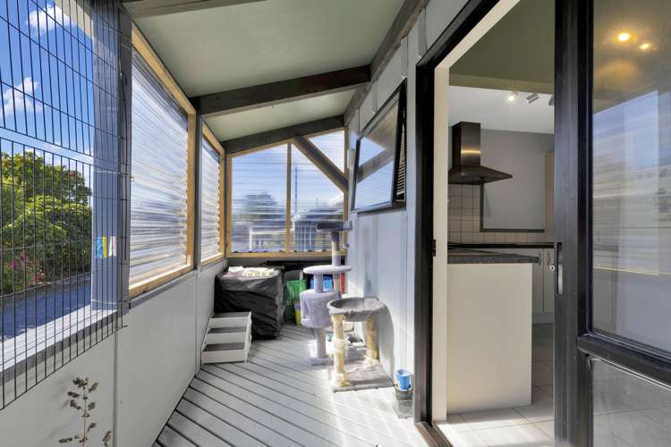 18 Douglas Road Amberley_7