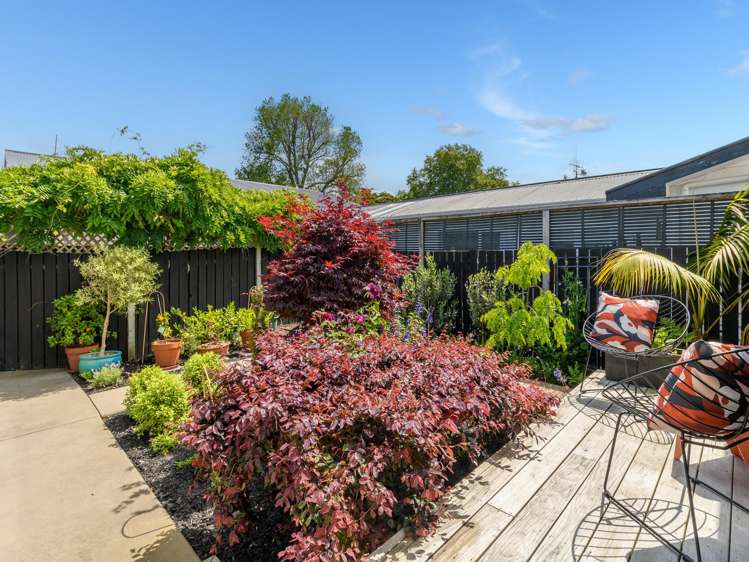 11c Arundel Street Tauranga Central_23