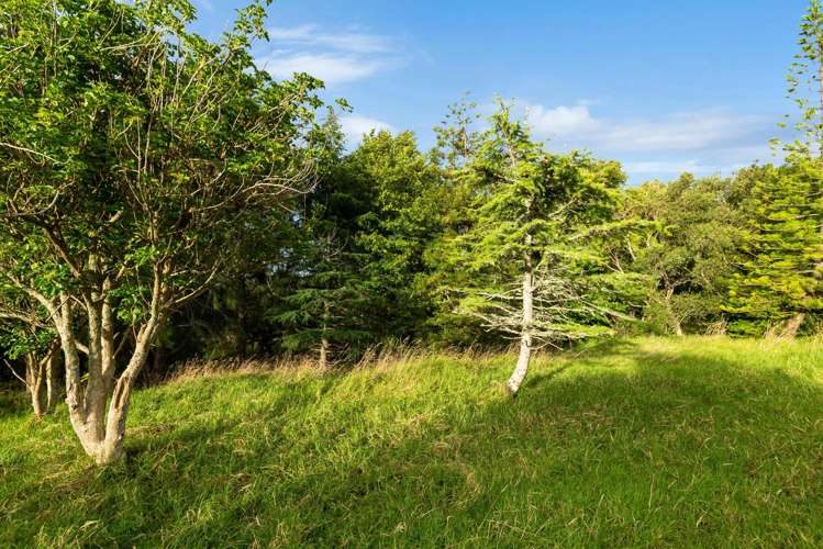 12 Whitehills Road Waitoki_31