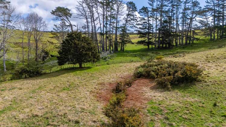 164 Tahanga Road Lake Ohia_13
