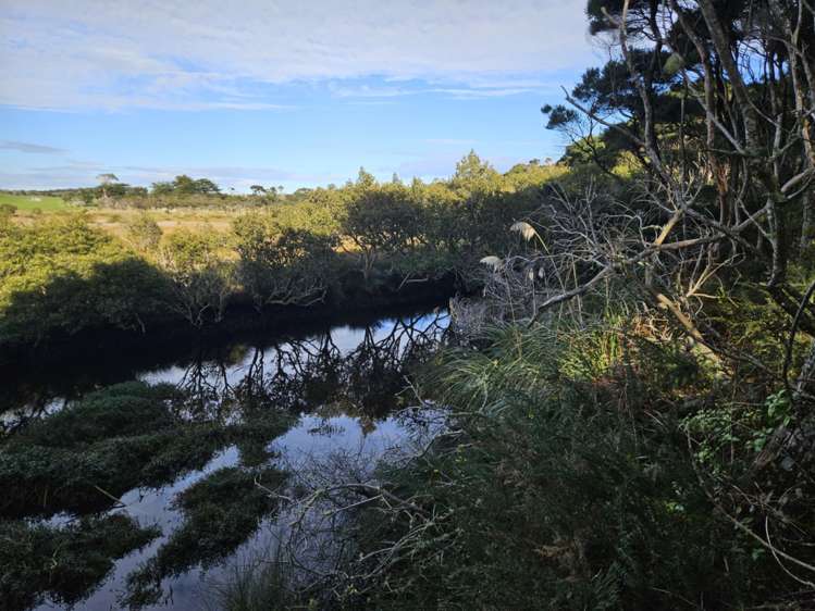 Heath Road Waiharara_23