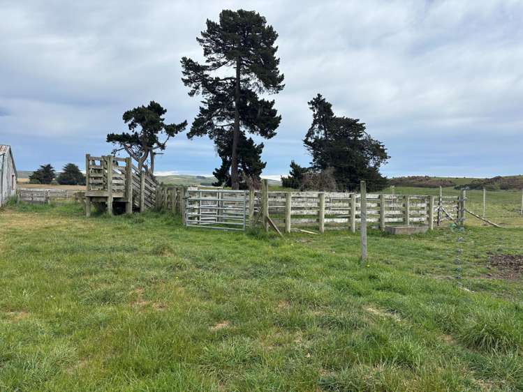 Blacks Road Palmerston_5