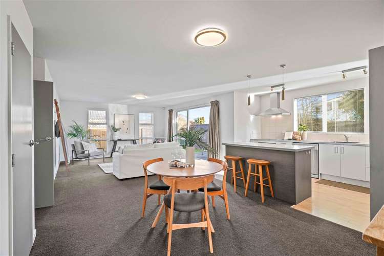 21 Dominion Avenue Spreydon_6