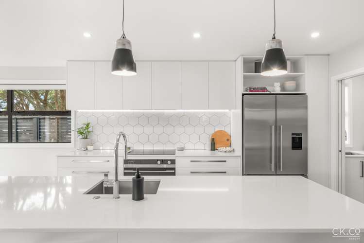 15 Adelaide Street Petone_6