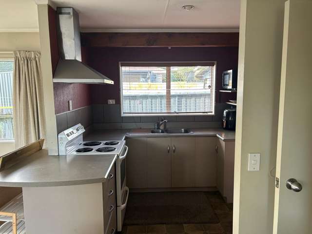 52A Elizabeth Street Tauhara_3