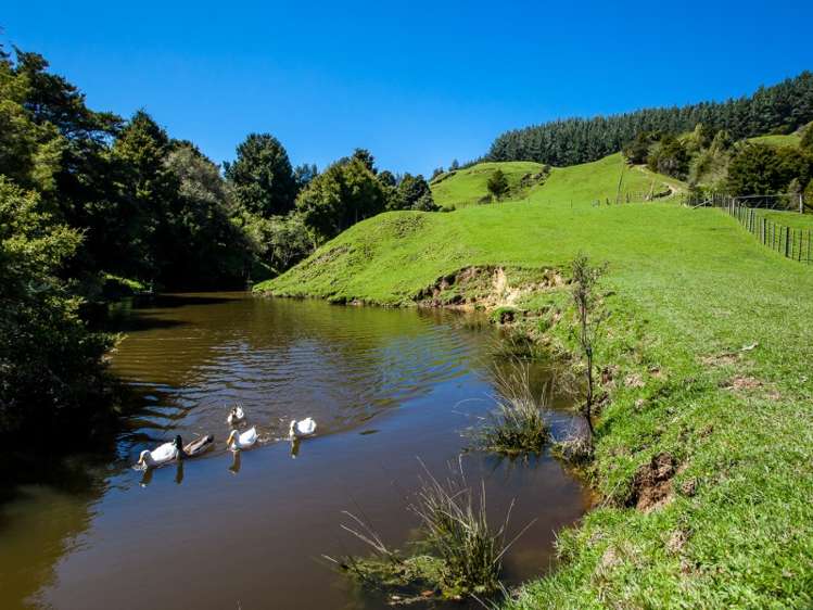 667 Stanley Road Wainui_13