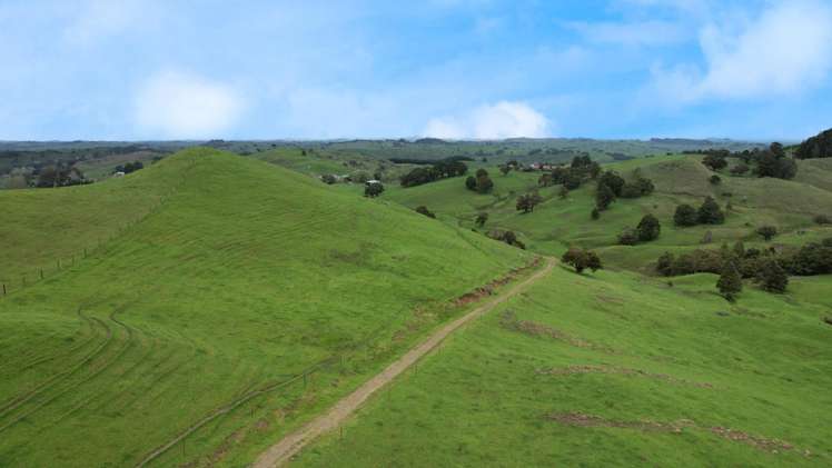 1896 Omana Road Pukehuia_12