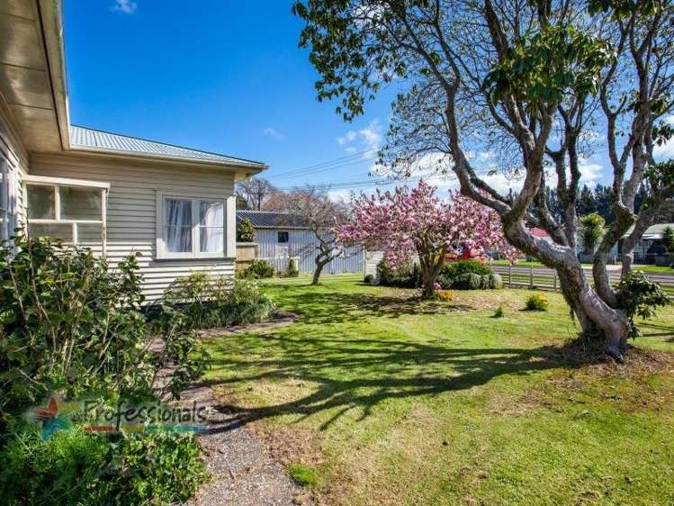 121 College Road Edgecumbe_18