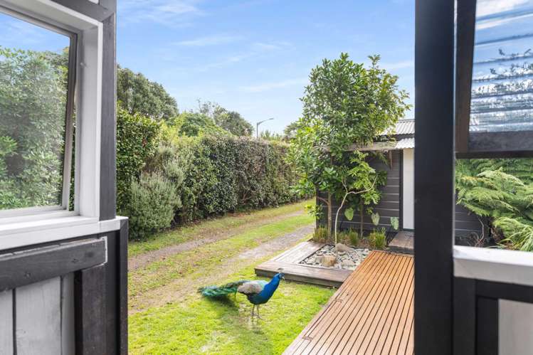 55A Marlin Place Whiritoa_12