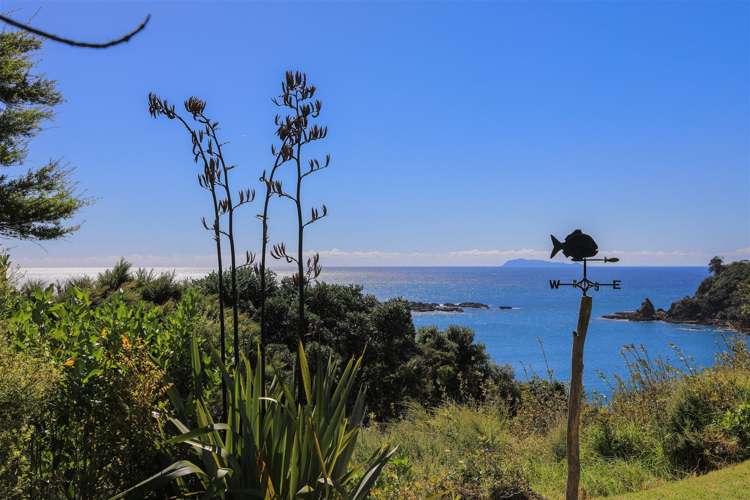 986 Tuateawa Road Waikawau_18