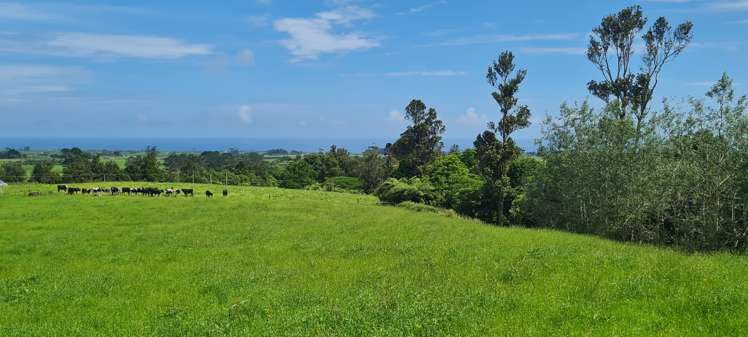 Upper Weld Road Tataraimaka_5