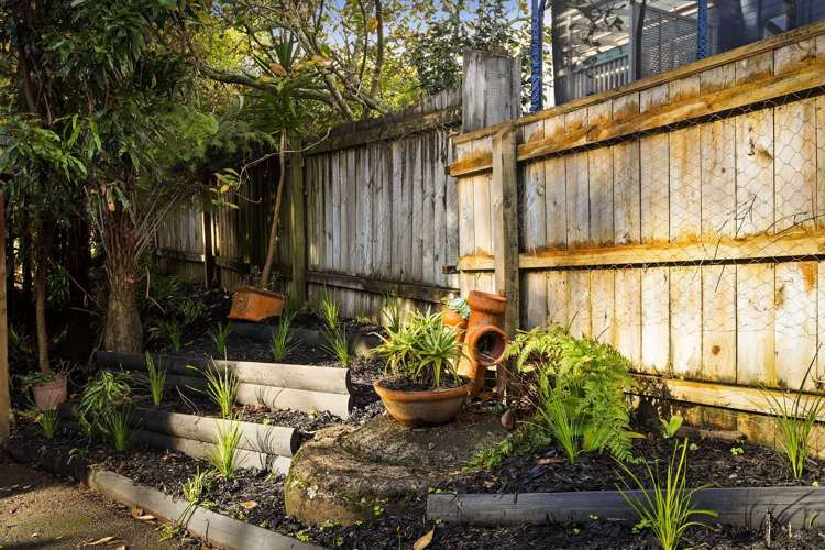 113B Daffodil Street Titirangi_11