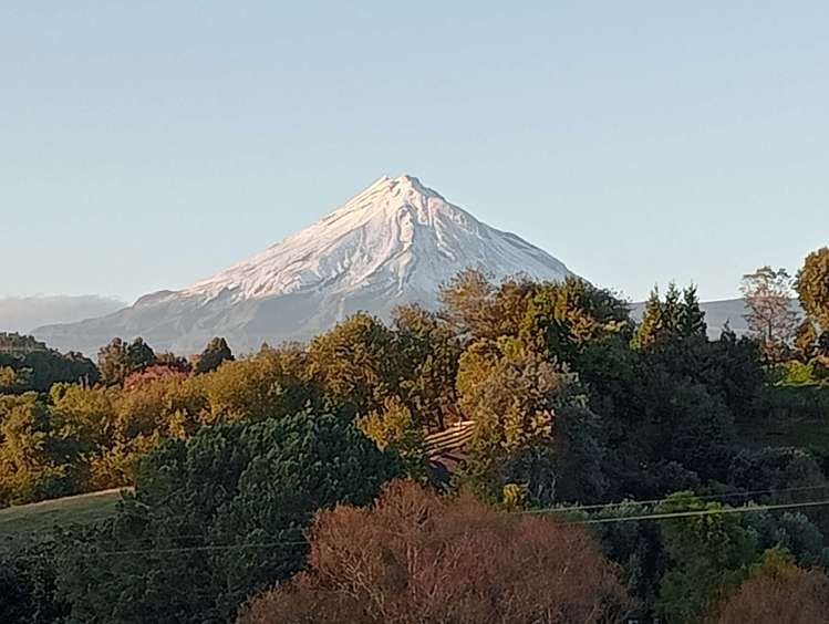 351 Tukapa Street Hurdon_24