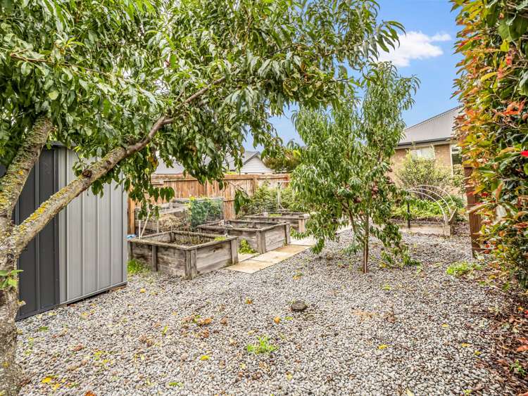 6 Ormandy Court Amberley_30