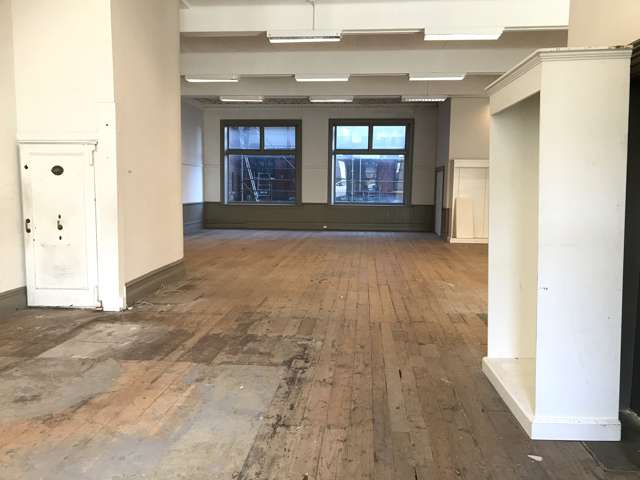 377 Princes Street Dunedin Central_1