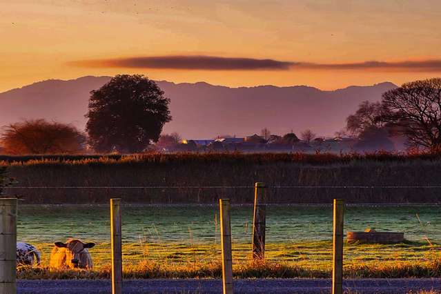 77 Sutton Road Te Awamutu Te Awamutu_2