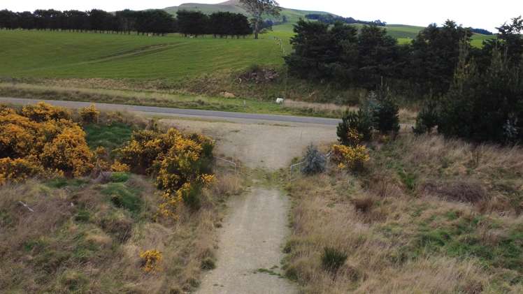 The Dasher Road Maraeweka_8